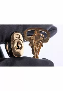 Pre-Loved Louis Vuitton Gold Plated Padlock with 2 Keys (Ref.301), no Dust Cover -Louis Vuitton Shop louis vuitton 4258 5279116 3
