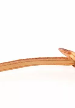 Pre-loved LOUIS VUITTON Pochette Accessoires Classic Monogram Handbag PVC Genuine Leather Brown 17 Pre-loved LOUIS VUITTON Pochette Accessoires Classic Monogram Handbag PVC Genuine Leather Brown -Louis Vuitton Shop louis vuitton 8747 5871636 8