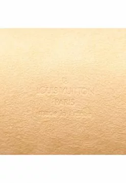 Pre-loved LOUIS VUITTON PochetteFlorentine Classic Monogram handcarry bag belt bag PVC Genuine Leather Brown belt(XS) -Louis Vuitton Shop louis vuitton 9615 2718836 4